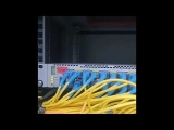 MES3348F Eltex | Коммутатор 48 портов SFP, 4 порта SFP+