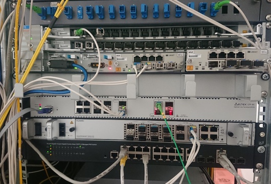 LTP-4X