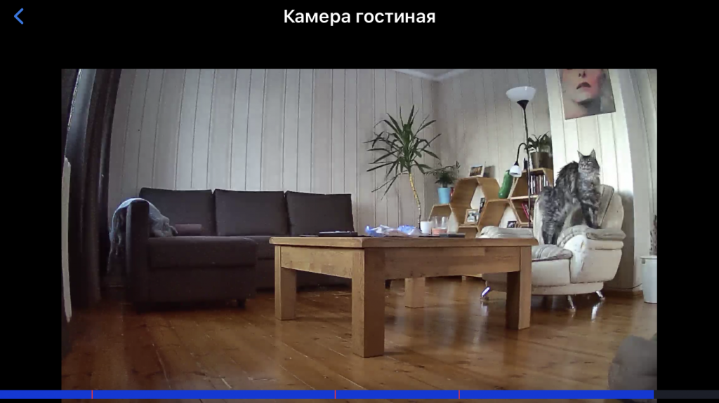 Плеер видеонаблюдения приложения Eltex Home