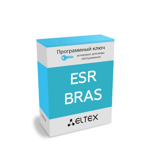 Лицензия (опция) ESR-BRAS на ПО для маршрутизаторов серии ESR