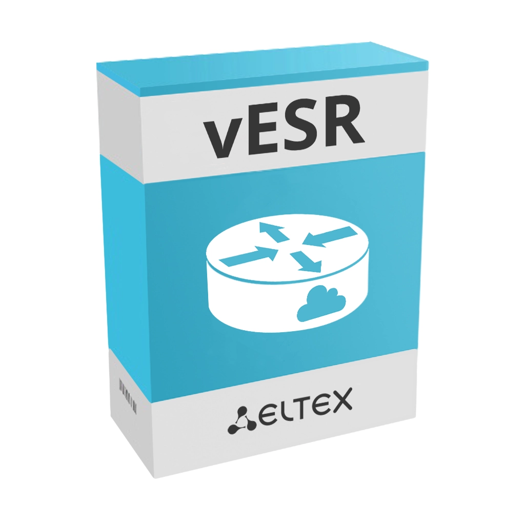 vESR STANDARD | Опция для программного сервисного маршрутизатора Eltex
