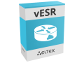 vESR STANDARD+ | Опция для программного сервисного маршрутизатора Eltex