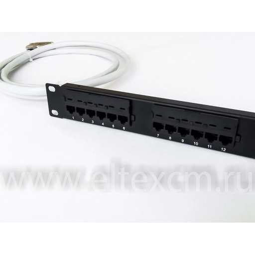 Расшитая патч-панель 19" (1U) для TAU-32M.IP / TAU-36.IP / TAU-72.IP, 24 порта, 1 разъем CENC-36, 2 метра