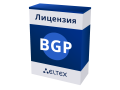 Лицензия BGP