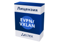 Лицензия EVPN/VXLAN