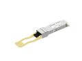 OPT-100M01